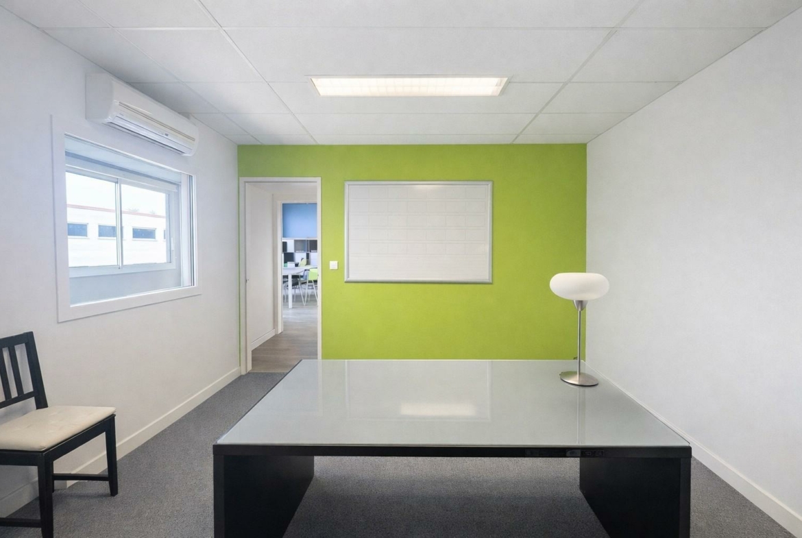 3-13637795086193110555