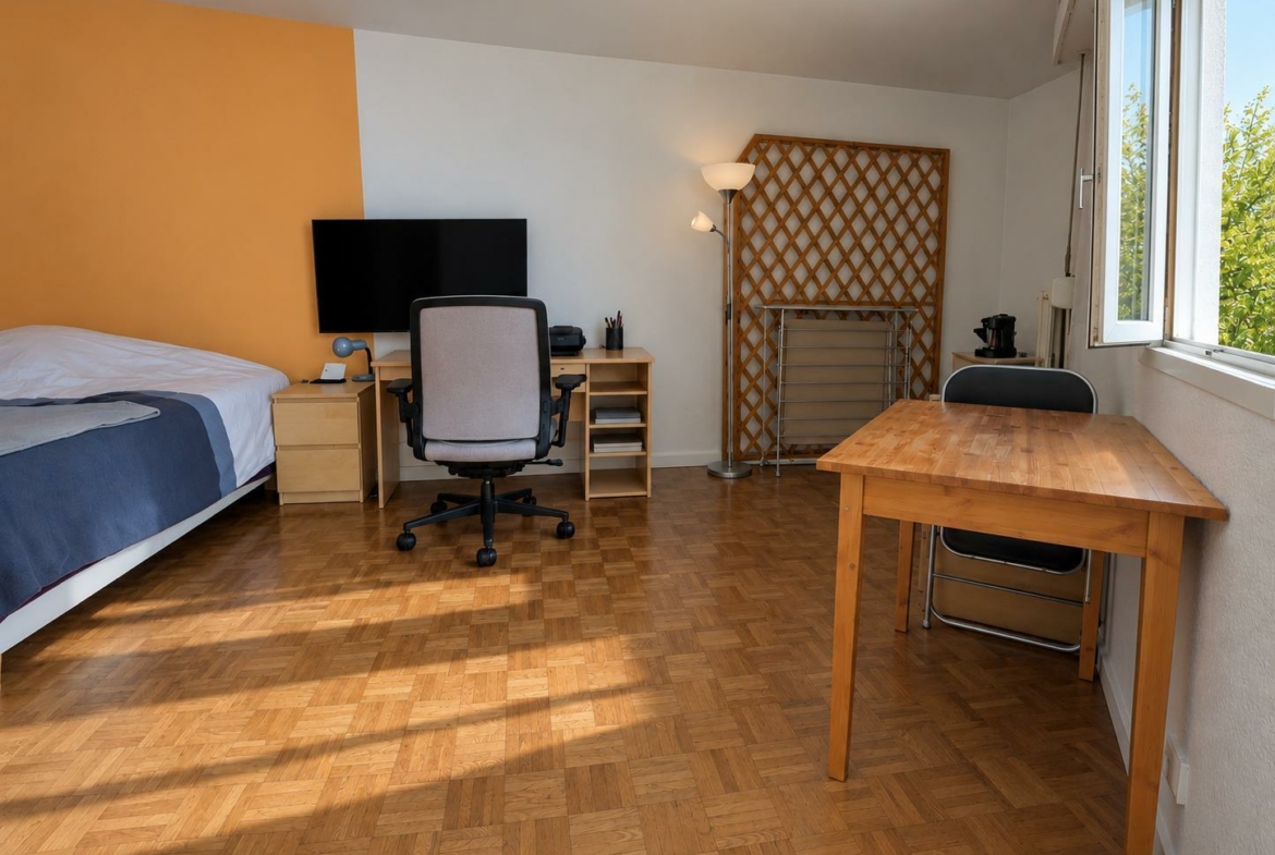 Chambre-studio_lumineuse_et_ordonn_e_2-4531868597064589203