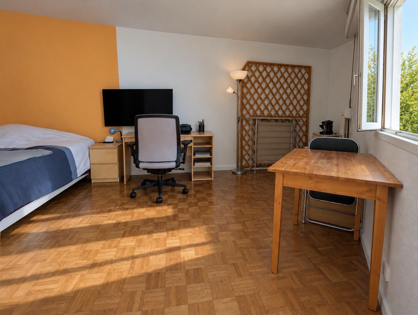 Chambre-studio_lumineuse_et_ordonn_e_2-4531868597064589203